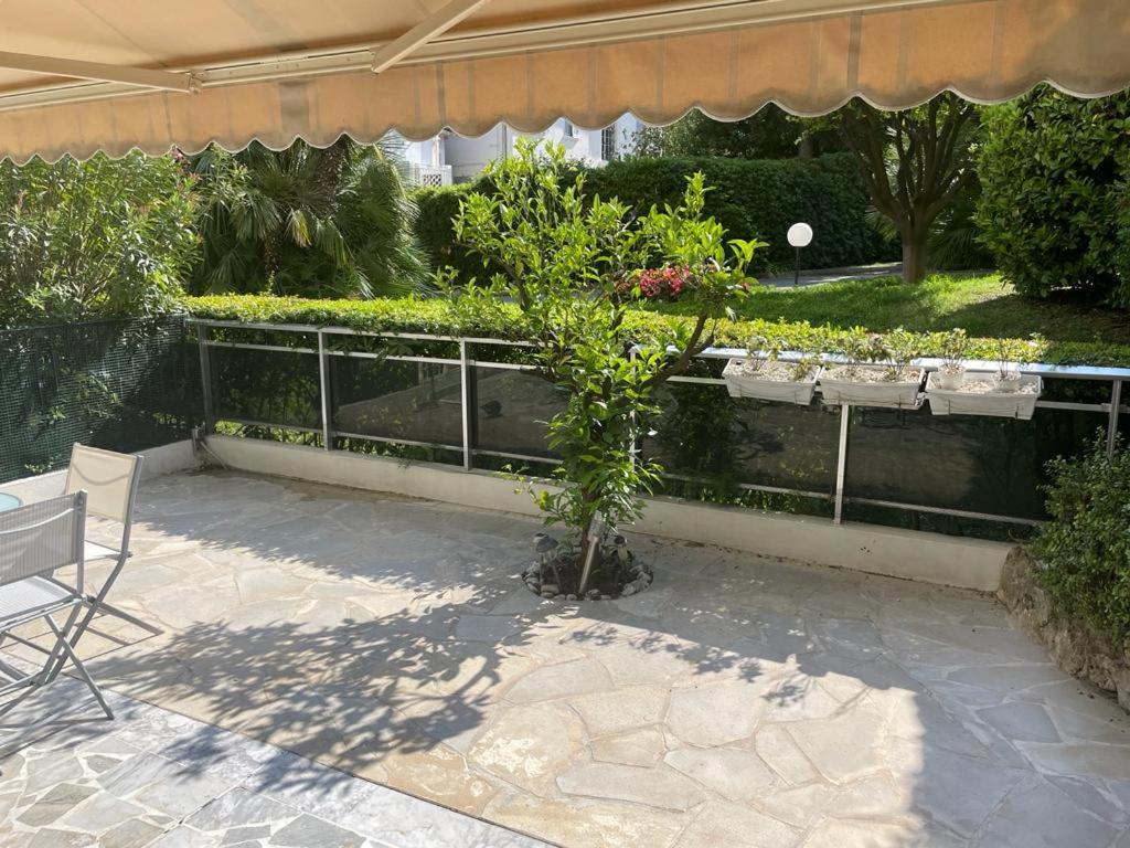 Matheo Appartement Cannes
